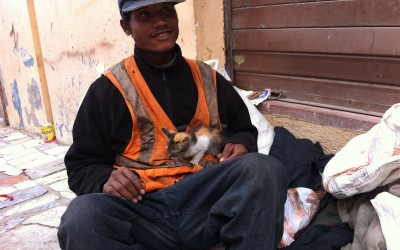 Our Friend